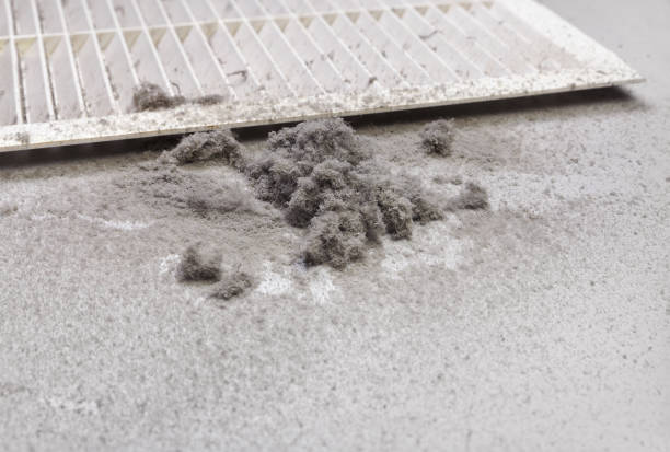 Best Dryer Vent Cleaning Services  in Obetz, OH